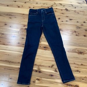 Curvy High Rise Skinny Jean